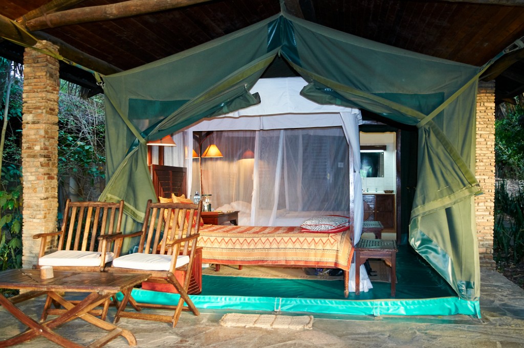 Fig tree tent